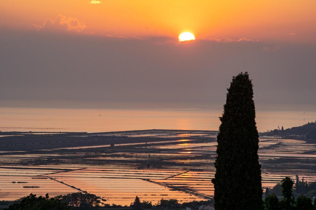 Casa Coronica Villa Sečovlje Buitenkant foto